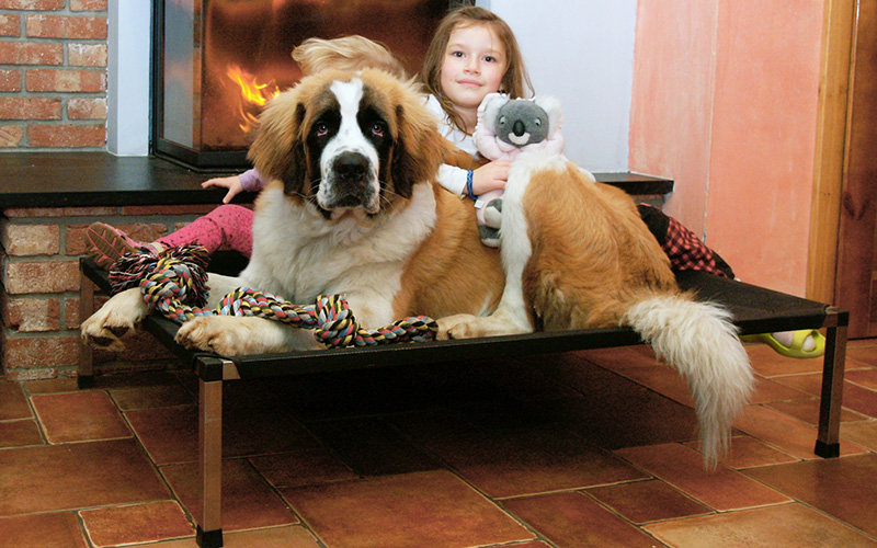 Kir u krbu a holky800x500 web